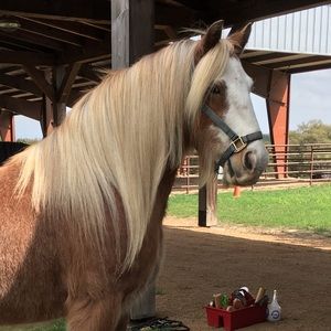 Meet your Posher, Emily